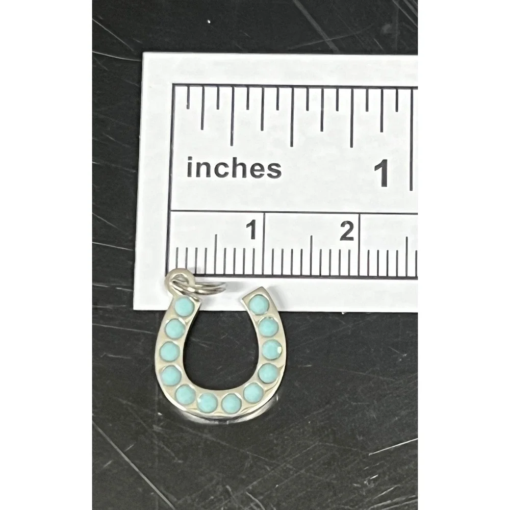 Turquoise Stone Horseshoe Charm Stainless‎ Steel Silver Blue Excellent